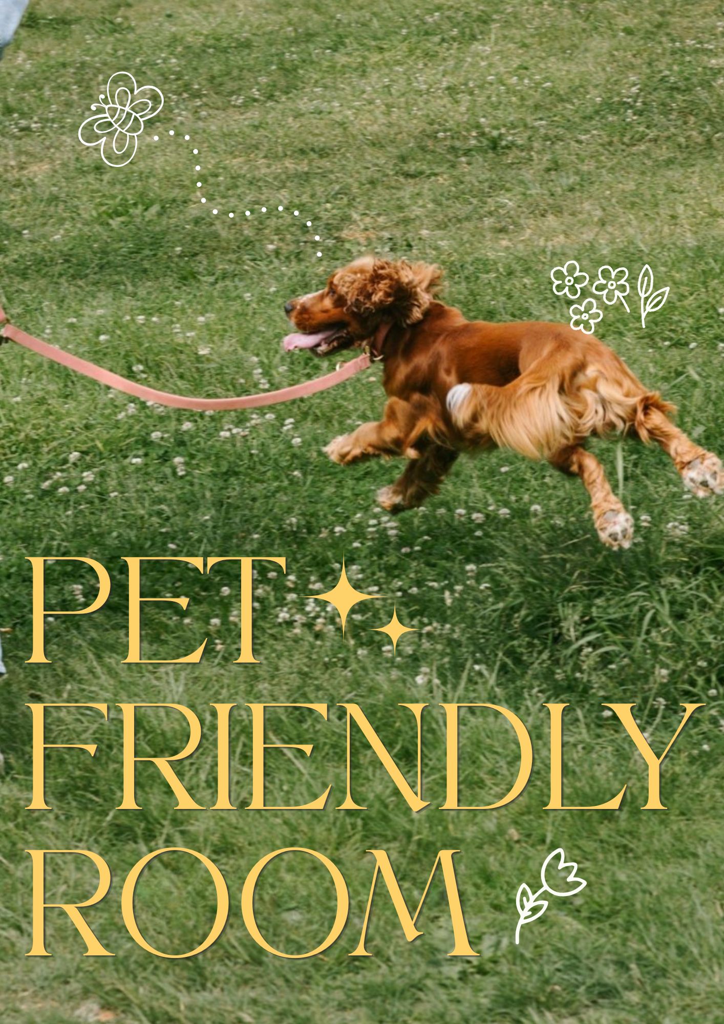 With My Pet